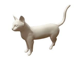 IMG_9006-removebg-preview